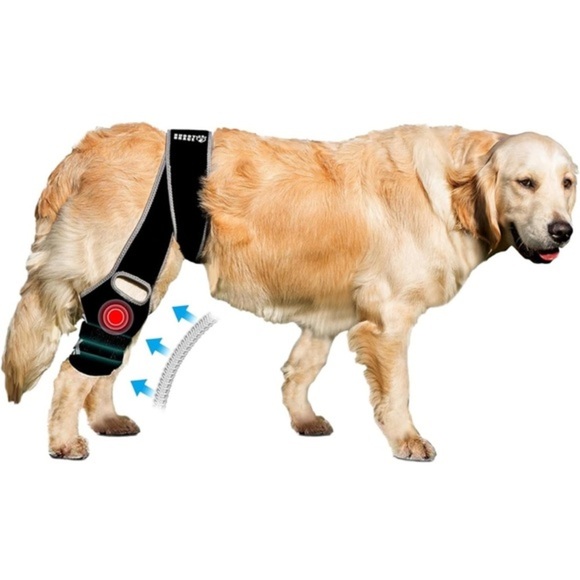 Dog Knee Brace for Torn ACL - Hind Leg‎ Support for Medium Breeds - Picture 1 of 8